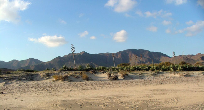 Dunas Genoveses San Jose Cabo de Gata